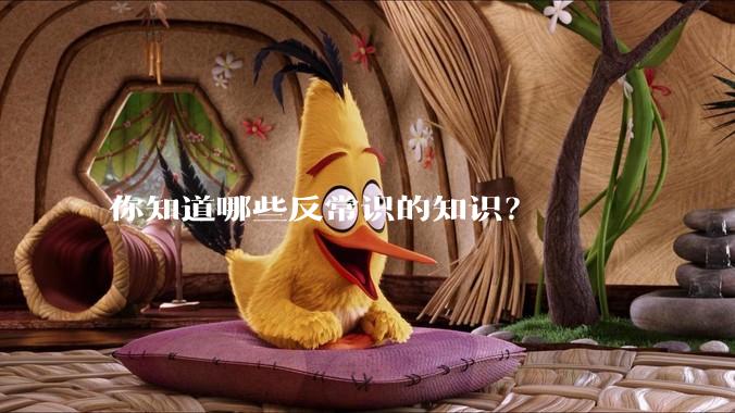 你知道哪些反常识的知识？