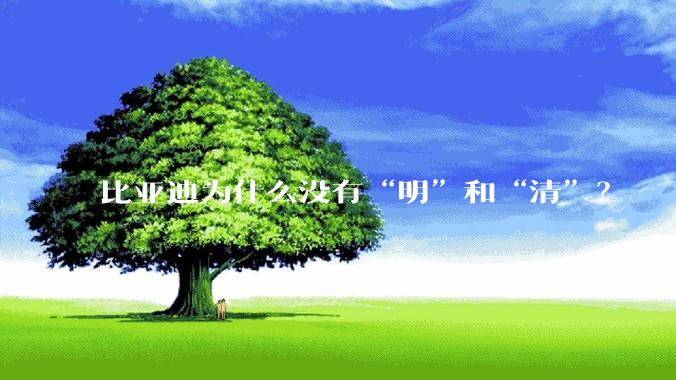比亚迪为什么没有“明”和“清”？